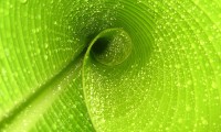 世界短跑训练营成果刊发：青训模式效果被验证，世界短跑比赛有哪些